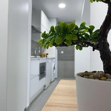 Lusitania Parking Gratis Bajo Disponibilidad Apartamento *