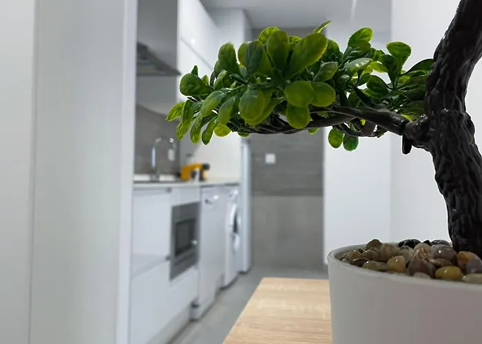 Lusitania Parking Gratis Bajo Disponibilidad 公寓 *